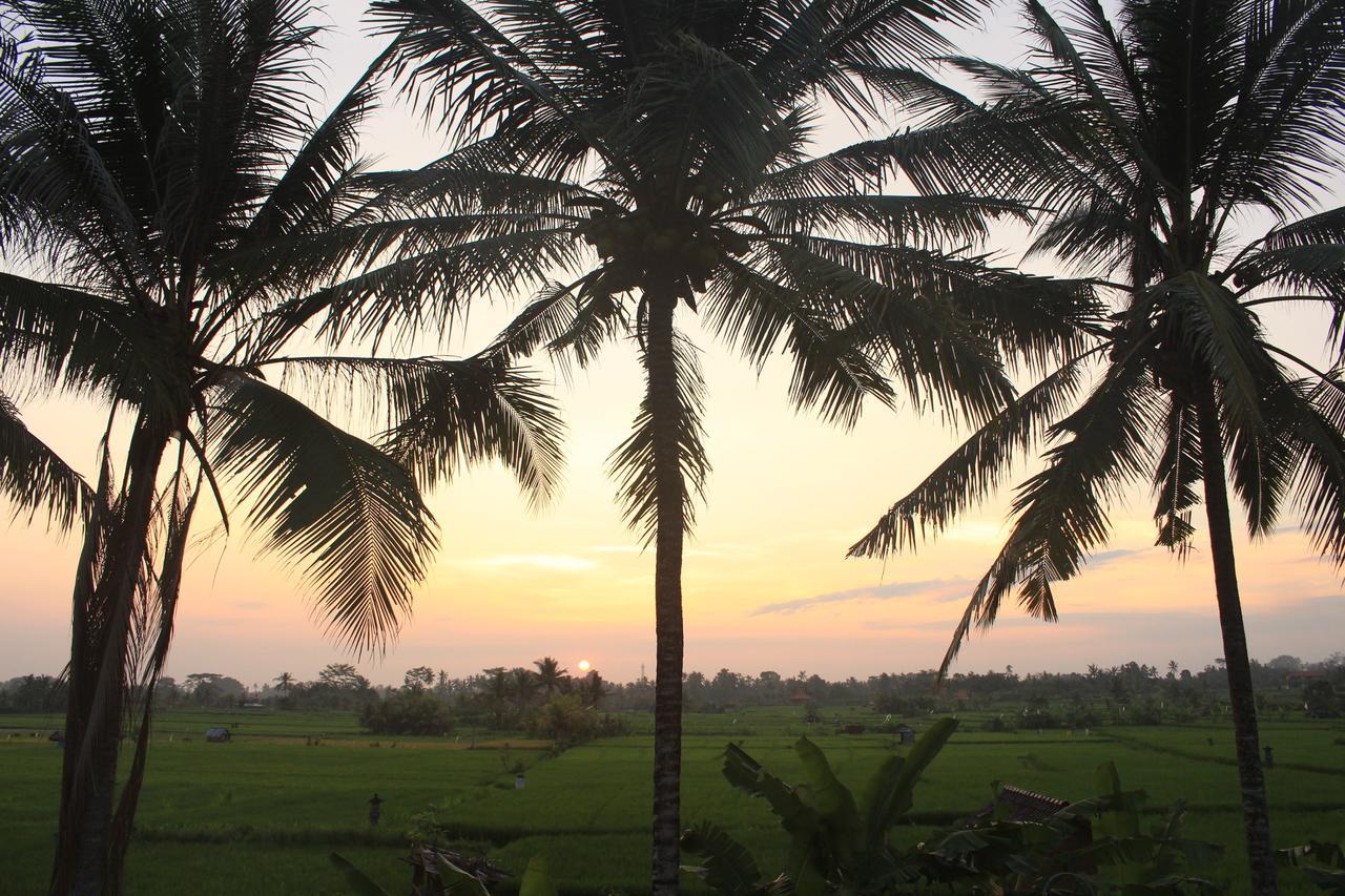 Uma Capung Mas Cottage Ubud Buitenkant foto