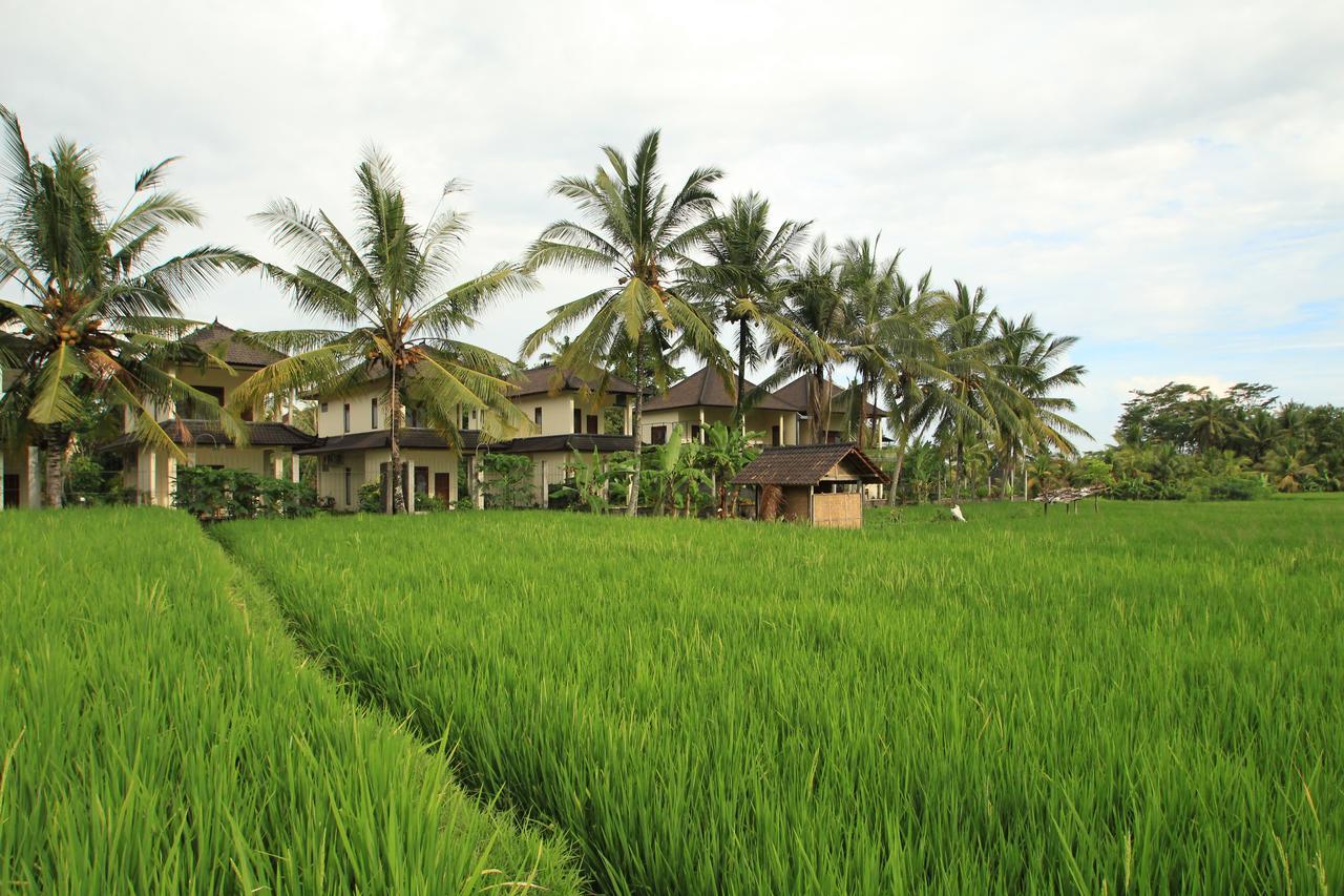 Uma Capung Mas Cottage Ubud Buitenkant foto
